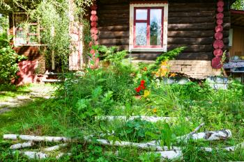 birch logs and flower bed in front of russian wooden house on sunny summer day