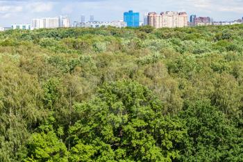 green forest and city on horizon on sunny summer day