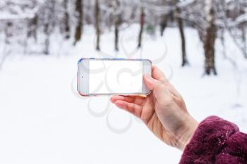 female hand holds smartphone with cutout screen in winter forest
