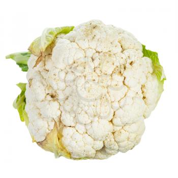 top view of fresh ripe Cauliflower isolated on white background