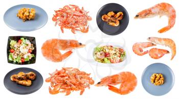 set of frozen shrimps and dishes from shrimps isolated on white background