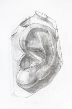academic drawing - male ear, plaster cast fragment of David's face hand-drawn by graphite pencil on white paper