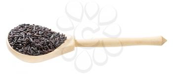 raw black rice in wooden spoon isolated on white background