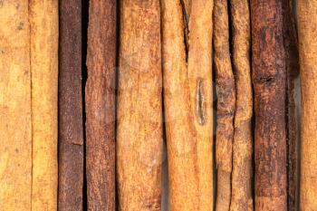 food background - several sticks of cassia cinnamon