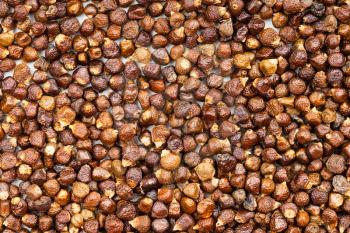 food background - grains of paradise pepper close up