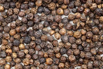 food background - many hainan black peppercorns close up