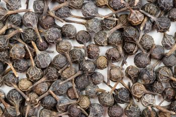 food background - many tailed pepper (cubeb) close up