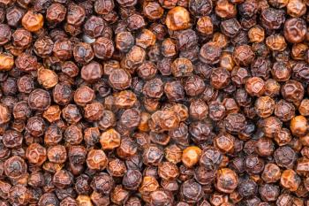 food background - red kampot pepper close up