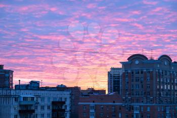 pink and blue sky over apartment houses in Moscow city on sunset