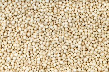 food background - top view of raw amaranth grains