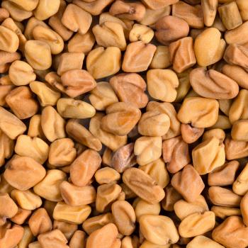 square food background - whole fenugreek seeds close up