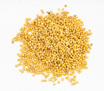 top view of pile of yellow seeds of brassica juncea mustard close up on gray ceramic plate