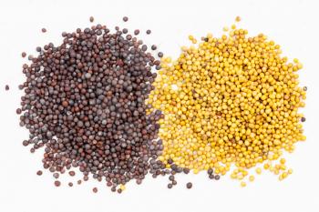 top view of piles of yellow and brown mustard seeds on gray ceramic plate