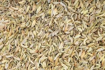 food background - many dried fennel seeds