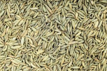 food background - many dried anise seeds