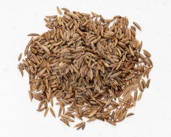 top view of pile of caraway seeds close up on gray ceramic plate