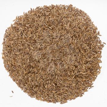 top view of pile of caraway seeds on gray ceramic plate