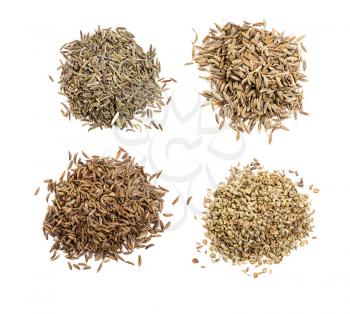 top view of various cumin like seeds (black cumin, cumin, caraway, indian cumin) on white background