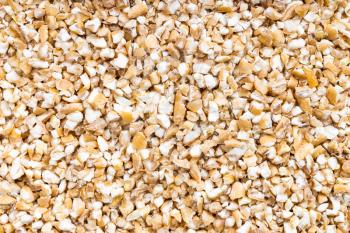 food background - uncooked wheat groats (crushed partly hulled wheat grains)