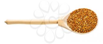 wooden spoon with unhulled proso millet grains isolated on white background