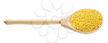 wooden spoon with uncooked polished proso millet grains isolated on white background