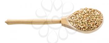 wooden spoon with raw green buckwheat grains isolated on white background