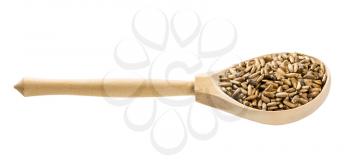 wooden spoon with whole milk thistle seeds isolated on white background