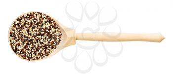 top view of wood spoon with blend of quinoa grains isolated on white background