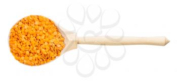 top view of wood spoon with split red lentils isolated on white background