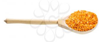 wooden spoon with split red lentils isolated on white background