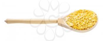 wooden spoon with split yellow lentils isolated on white background