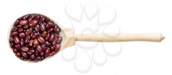 top view of wood spoon with mexican red beans isolated on white background