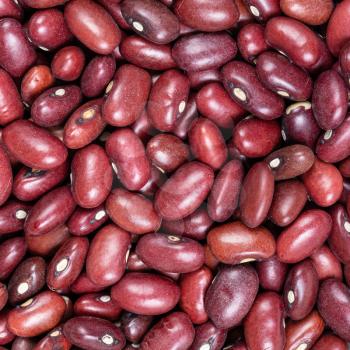square food background - raw mexican red beans close up