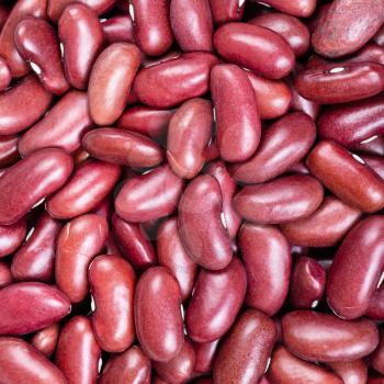 square food background - raw kidney beans close up