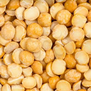 square food background - raw dried split yellow peas close up