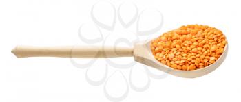 wooden spoon with raw whole red lentils isolated on white background