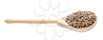 wooden spoon with brown unhulled red lentils isolated on white background