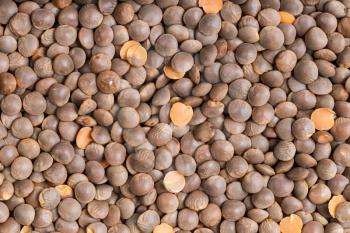 food background - raw brown unhulled red lentils
