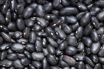 food background - raw black turtle beans