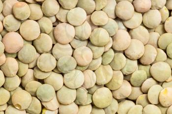 food background - raw whole light green lentils