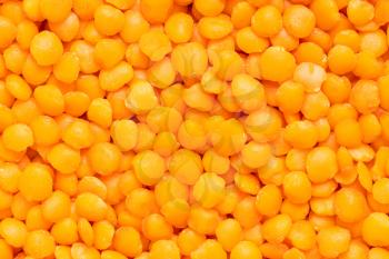 food background - raw whole red lentils