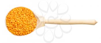 top view of wood spoon with raw whole red lentils isolated on white background