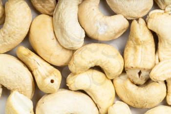 food background - many raw cashew seeds