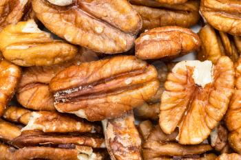 food background - many shelled pecan nuts