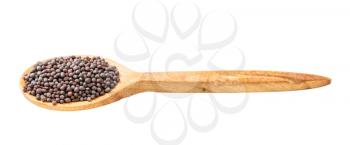wooden spoon with black mustard seeds isolated on white background