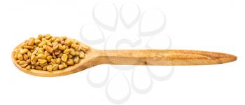 wooden spoon with fenugreek seeds isolated on white background
