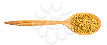 top view of wood spoon with yellow seeds of brassica juncea mustard isolated on white background