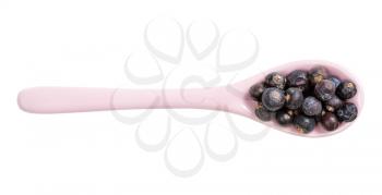 top view of ceramic spoon with dried juniper berries isolated on white background