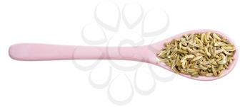 top view of ceramic spoon with fennel seeds isolated on white background