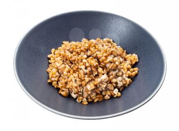 boiled porridge from whole spelt grains in gray bowl isolated on white background